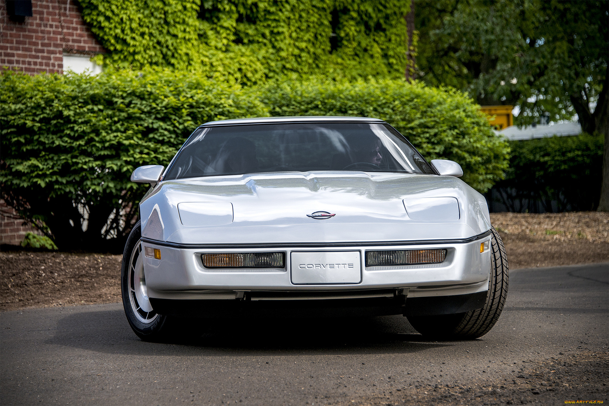 chevrolet corvette, , corvette, , , 